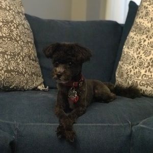 Meet your Posher, Janelle